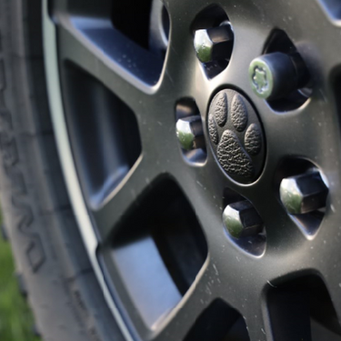 Dog Theme | Center Wheel Caps